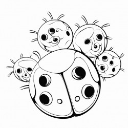 five ladybugs in a loop