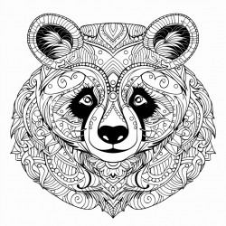 panda