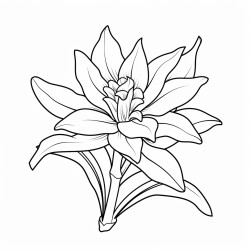 bromeliad flower