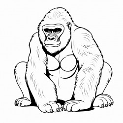 gorilla