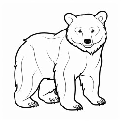 bear