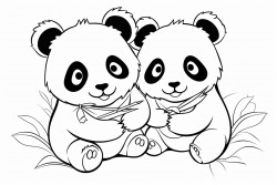 pandas playing