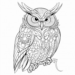 night owl