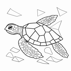 sea turtle fins