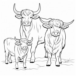 three cows one is a highland cow one is balck and one is whaite and brown