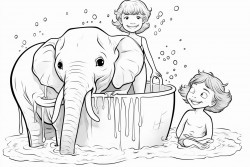 two elephants taking a bath and a girl watching them