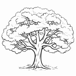 oak tree