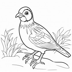 a quail working on leaves