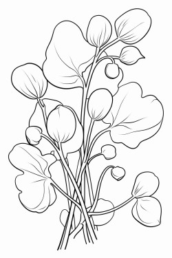 plantas medicinales