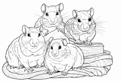 snake bearded dragon leopard gecko guinea pig degu and rat family portrait