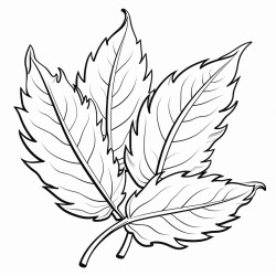 feuille