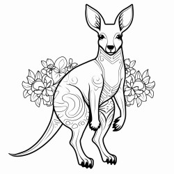 kangaroo