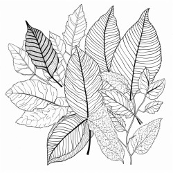 aking leaf collages children gluing leaves and crafting with fall materials generate a coloring page based on that for a 25 yo