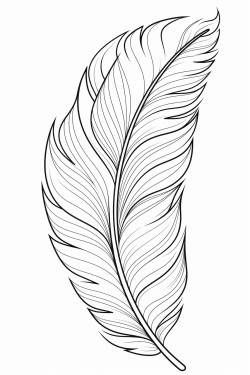 a cute  ethereal feathers  coloring bookvector white background black and white black drawing
