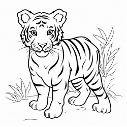 tiger