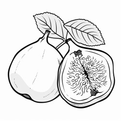 fig
