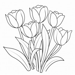 tulip