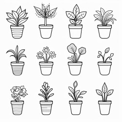 plants