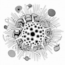 influenza virus