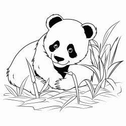 panda sleeping wile others eating grass