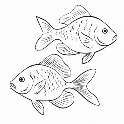peces