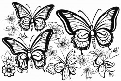 des papillons