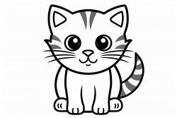 orange cat