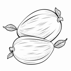 zucchini