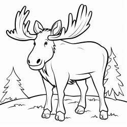 a cute icelandic moose