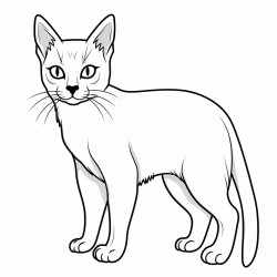 siamese cat