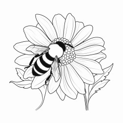bee on a flower