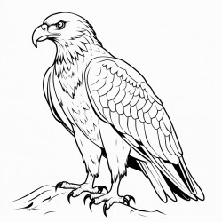 aguila animal