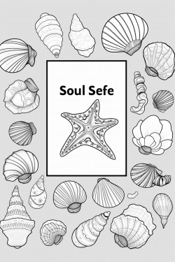 a collage of sea shells