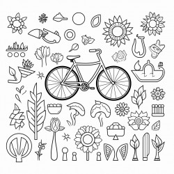 plant cycle drawing