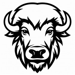 bison half face mask