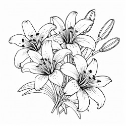 a group of lily flowers