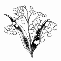 long stemmed lilly of the valley flower