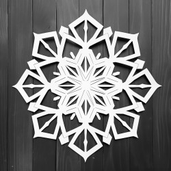 snowflakes cut out of paper