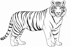 faz um desenho de um tigre e um garotinho do lado do tigre