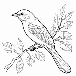 oiseau