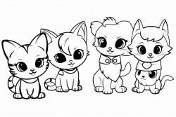 6 small kittens playing