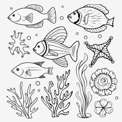 sea life