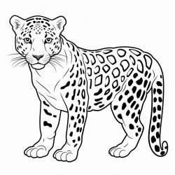 jaguar animal