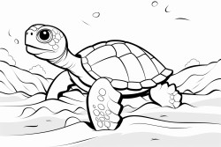 a baby sea turtle coming our an egg on a beach