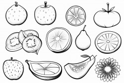 fruit
