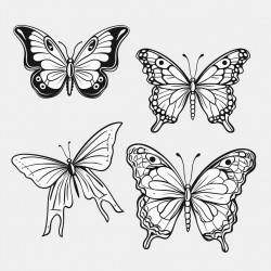 des papillons