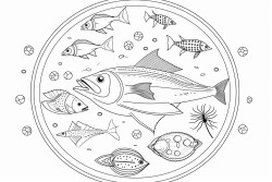 oceanic food web