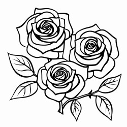 rose flowers