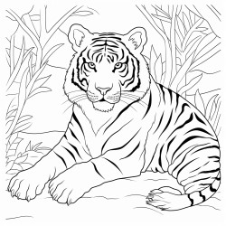 a majestic tiger lounging in the shade