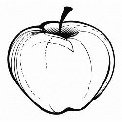 apple fruit